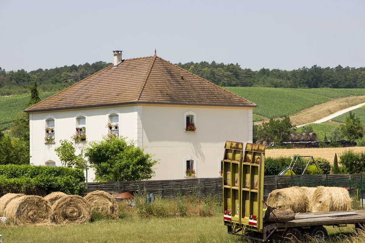 Épernay City Center Murals Guide for 2025